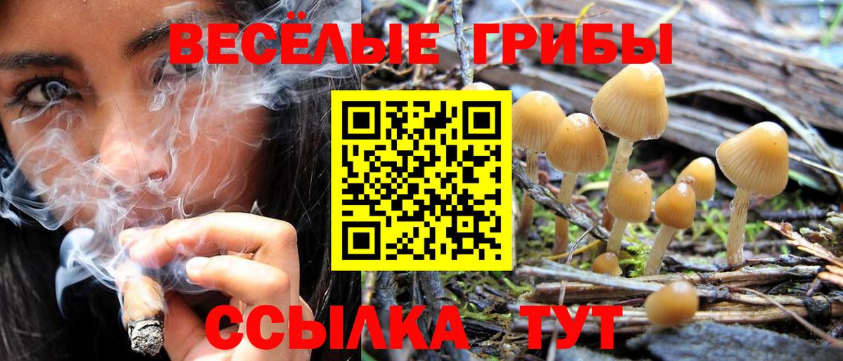 Галлюциногенные грибы MAGIC MUSHROOMS Назарово
